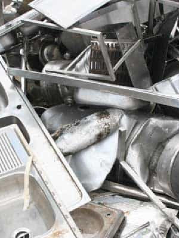 Stainless Steel 4